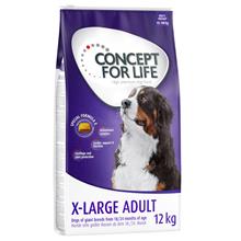 Bild Concept for Life X-Large Adult - Ekonomipack: 2 x 12 kg
