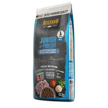 Bild Belcando Junior Grain Free Ekonomipack: 2 x 12,5 kg