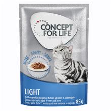 Bild 36 + 12 på köpet! Concept for Life våtfoder 48 x 85 g - Light Cats i sås