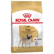 Bild Ekonomipack: 2 eller 3 påsar Royal Canin Breed Adult - Pug Adult (2 x 3 kg)