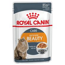Bild Ekonomipack: Royal Canin våtfoder 24 x 85 g - Intense Beauty i gelé