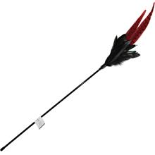 Bild Mystic Long Feather kattvippa - 1 st