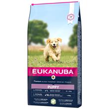 Bild Eukanuba Puppy Large & Giant Breed Lamb & Rice - Ekonomipack: 2 x 12 kg