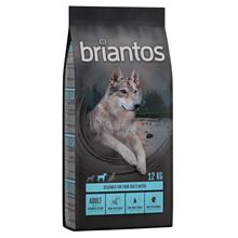 Bild Ekonomipack: 2 påsar Briantos till lågpris! Grain Free Lax & potatis (2 x 12 kg)