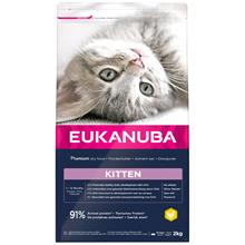 Bild Eukanuba Healthy Start Kitten - Ekonomipack: 3 x 2 kg