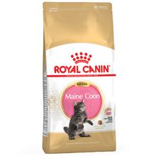 Bild Ekonomipack: 2 x Royal Canin kattfoder till lågpris - Kitten Maine Coon 36 (2 x 10 kg)