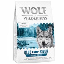 Bild Wolf of Wilderness Mini Blue River - Salmon 5 x 1 kg