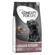 Bild Concept for Life Labrador Retriever Adult - 1,5 kg