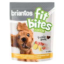 Bild Briantos FitBites Junior - Fjäderfä med potatis & jordgubbar - Ekonomipack: 3 x 150 g