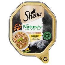 Bild Ekonomipack: Sheba Nature's Collection in Sauce 44 x 85 g - Kyckling