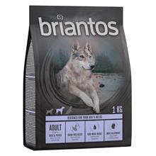 Bild Briantos Grain Free Adult Anka & potatis - 4  x 1 kg