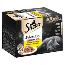 Bild Ekonomipack: Sheba 48 x 85 g portionsform i blandpack - Selection in Sauce