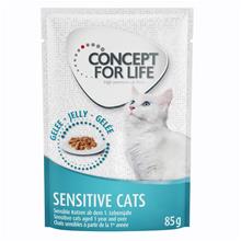 Bild 36 + 12 på köpet! Concept for Life våtfoder 48 x 85 g - Sensitive Cats i gelé