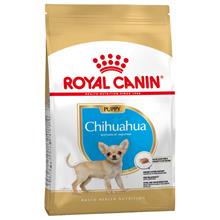 Bild Ekonomipack: 2 / 3 påsar Royal Canin Breed Puppy / Junior Chihuahua Puppy ( 3 x 1,5 kg)