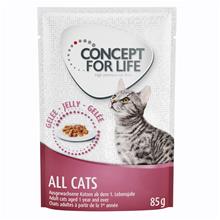 Bild Concept for Life Indoor Cats - förbättrad formel! - Som tillskott: 12 x 85 g Concept for Life All Cats - i gelé
