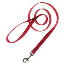 Bild HUNTER Ecco Sport halsband + koppel, rött - Halsband storlek S + koppel 110 cm / 15 mm