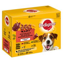 Bild Pedigree Adult Pouch Multipack - Jelly 12 x 100 g