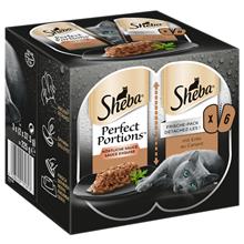 Bild Ekonomipack: Sheba Perfect Portions 48 x 37,5 g - Delicious Sauce Anka