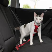 Bild Trixie bilsele för katter - Röd