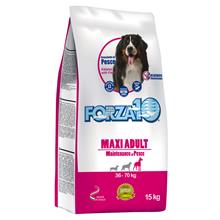 Bild Forza 10 Maxi Maintenance med fisk - 15 kg