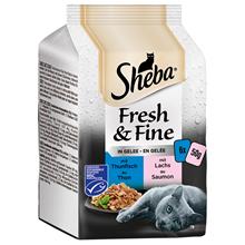 Bild Sheba Fresh & Fine 6 x 50 g - Tonfisk + Lax i gelé