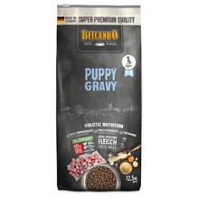 Bild Ekonomipack: 2 påsar Belcando torrfoder för hund Puppy Gravy (2 x 12,5 kg)