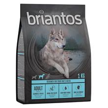 Bild Briantos Grain Free Adult Lax & potatis - Ekonomipack: 4 x 1 kg