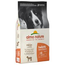 Bild Almo Nature Holistic Adult Medium Lamm & ris - Ekonomipack: 2 x 12 kg
