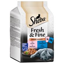 Bild Ekonomipack: Sheba Fresh & Fine 36 x 50 g Fiskvariationer