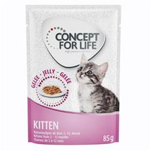 Bild 36 + 12 på köpet! Concept for Life våtfoder 48 x 85 g - Kitten i gelé