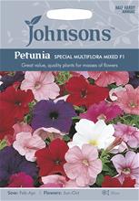 Bild Petunia 'Special Multiflora' F2 mix, frö