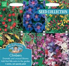 Bild Klätterväxter (Kollektion) 6 sorter, frö