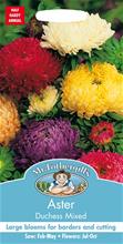 Bild Sommaraster 'Duchess' mix, frö