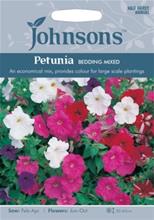 Bild Petunia 'Bedding' mix, frö