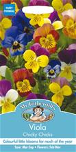 Bild Viol 'Chicky Chicks', frö