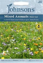 Bild Sommarblommor 'Peggy Sue' mix, frö