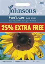 Bild Solros 'Giant Single'