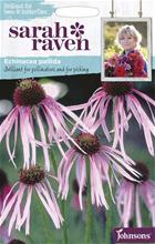 Bild Blek Solhatt (Läkerudbeckia), frö