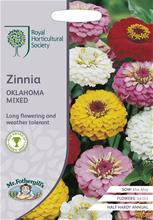 Bild Zinnia Oklahoma mix, frö