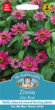 Bild Zinnia 'Lilac Rose', frö