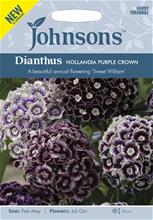 Bild Borstnejlika 'Hollandia Purple Crown' frö
