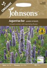 Bild Anisisop 'Anise Hyssop' Organic