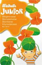 Bild Junior Slingerkrasse