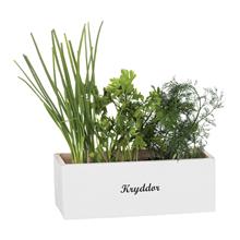 Bild Kryddlåda 10x27cm