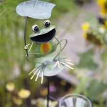 Bild Regnmätare 'Groda med löv'