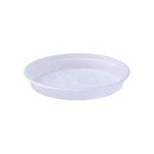 Bild Green Basics Fat Orkidé Dia 14 cm Transparent