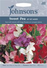 Bild Luktärt 'Jet Set' mix, frö