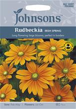 Bild Sommarrudbeckia 'Irish Spring', frö