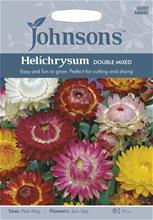 Bild Jätteeternell 'Double' mix, frö