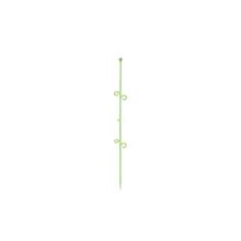 Bild Orchideco elegance (lime)